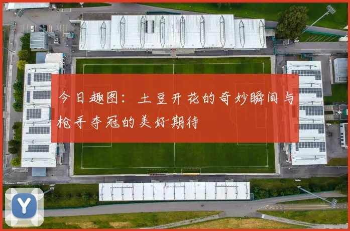 今日趣图：土豆开花的奇妙瞬间与枪手夺冠的美好期待
